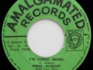 Errol Dunkley I'M GOING HOME / I'M NOT YOUR MAN Almagamated RARE ROCKSTEADY 45