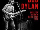 Monostereo Bob Dylan | Shelter From A Hard Rain 1976 | Vinyl Records & LPs New