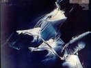 WEATHER REPORT - Weather Report (2LP/180g/45rpm)