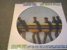 The Beach Boys ‎– Surfer Girl (Euro 2017) Mono/Stereo Pic Disc LP **NEW**