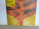 Yeah Yeah Yeahs – Show Your Bones - Vinyl LP Polydor – 985 295-6 - original UK