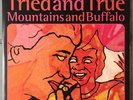 Ween Tried And True b/w Mountains And Buffalo 7” Black Vinyl Single Promo Only