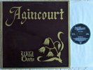 RARE & EX+ (NM) WILD OATS AGINCOURT 1975 SWEET FOLK UK STEREO LP FOLK PSYCH GEM