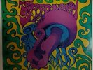 The Sacred Mushroom LP1969 US 1st Pressing on Parallax. RARE PROG ROCK.