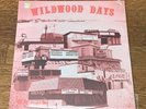 V/A - Wildwood Days LP - Motherlode - Original Private NJ Rock Psych Funk SEALED