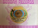 Sharon Ridley Scandal In Bedrock 45 Sussex 1971 Where Did You Northern Soul NM-