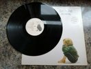 Tears For Fears The Hurting Fully Signed by Curt and Roland Vinyl Album LP