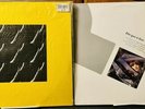 Depeche Mode-Vinyl-Pair of 12” Singles-Blasphemous Rumors & Question Of Time