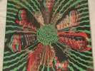 King Gizzard & The Lizard Wizard - CELLOPHANE - 2014 - Rare 3D Version MINT