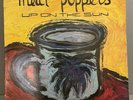 Meat Puppets Up On the Sun LP UK 1985