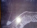 My Dying Bride-Turn Loose the Swans , first press, on Ex