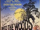 INTO THE WOODS Broadway Cast Signed LP RARE 1987 Stephen Sondheim