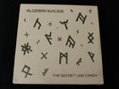 ALGEBRA SUICIDE - The secret like crazy - LP STILL SEALED