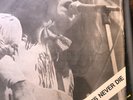THE KINKS MISFITS NEVER DIE LP ROCK