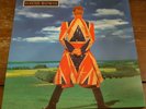 David Bowie Earthling 2 LP 180g Vinyl aus der Brilliant Adventure Box 2021