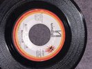 MOUNTAIN - Leslie West / Long Red / Blood Of T Sun psych hard rock  Windfall 45