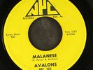 AVALONS: malanese / begin the beguine NPC 7