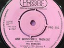 Northern Soul 45-The Shakers-One Wonderful Moment-UK Probe