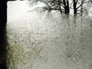 BON IVER-For Emma Forever Ago Vinyl / 12
