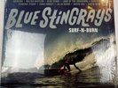 Blue Stingrays – Surf-N-Burn LP Black Vinyl 1997 Epitone Records