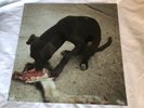 slowthai - Runt EP Vinyl NEW & SEALED *SHIPS SAME DAY*