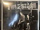 Halestorm Into The Wild Life 2LP BRAND NEW