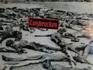 Cotzbrocken-Vernichtung durch Arbeit/Punk/Rock O Rama