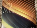 Angels and Airwaves - The Dream Walker Vinyl - Blue