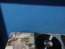 LP VINYL CHALINO SANCHEZ CON LOS AMABLES DEL NORTE.- EL GALLO DE SINALOA