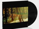 Childish Gambino - Camp 2xLP Vinyl Record