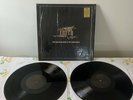 Earth The Bees Made Honey In The Lion's Skull LTD ED /3000 180g vinyl record 2LP