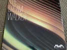 Angels and Airwaves The Dream Walker Standard Vinyl