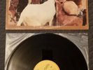 THE BEACH BOYS-Pet Sounds-MONO Original 1976 Vinyl LP-BRIAN WILSON'S CLASSIC