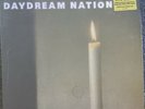 Daydream Nation by Sonic Youth 4xLP Vinyl Box Set New Sealed Free Ship From USA