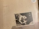 FLEETWOOD MAC- Tusk 2 xL.P. (NEW SEALED 2019) SILVER COLOURED VINYL