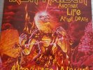 IRON MAIDEN  