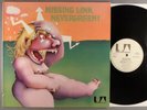 Missing Link  Nevergreen     VERY RARE LP  Krautrock; Prog  German Press