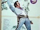 VICENTE FERNANDEZ 
