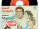 VICENTE FERNANDEZ Tacos Al Carbon 7