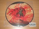 Dismember PICTURE LP - Indecent And Obscene / 1993 GERMAN PRESS in MINT