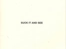 Arctic Monkeys-Suck It and See (UK IMPORT) Vinyl / 12