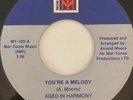 Rare Modern Soul 45/ Aged In Harmony 