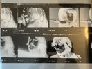 The Beatles LET IT BE NAKED 2003 180g Vinyl UK Apple Parlophone Sealed MINT