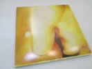 Pisces Iscariot by Smashing Pumpkins (Record, 2012) Vinyl Remaster (2 LP)