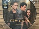Twilight Saga New Moon Soundtrack Hot Topic Picture Disc Vinyl EP