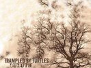 Trampled By Turtles - Duluth NEW Sealed Vinyl LP Album