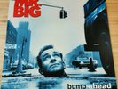 Mr. Big - Bump Ahead - Vinyl LP - 1993 Germany