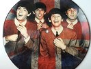 The Beatles - Love Me Do - Vinyl 7