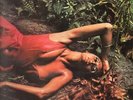 ROXY MUSIC Stranded LP VINYL UK Island 1973 8 Track Pink Rim Label In Laminated