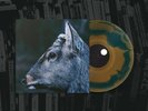 Midnight Fawn Vinyl LP TOE the book about my idle plot on a vague anxiety / New